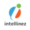 intellinez-systems