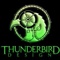 thunderbird-design