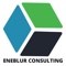 eneblur-consulting