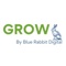 grow-blue-rabbit-digital