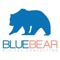 blue-bear-digital-consulting