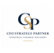 cfo-strategy-partner