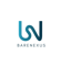 barenexus-consultants-private