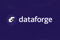 dataforge-0