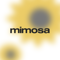 mimosa