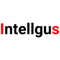 intellgus-outsourced-offshore-accounting-solutions