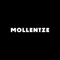 mollentze-brand-systems-studio