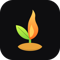 seed-lamp