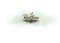rootline-web-co