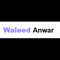 waleed-anwar-international-seo-consultant
