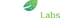 codemintlabs
