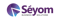 seyom-business-solutions