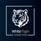 white-tiger-connections