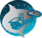 sphyrnasolutionssl