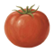 accounting-ketchup