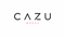 cazu-works