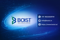 boist-tech-it-services-solutions
