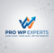 pro-wp-experts