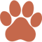 paw-media-studio