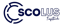 scolus-infotech
