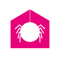 jumping-spider-media
