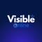 visible-online-ai