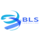 bls-consulting-0