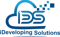 ideveloping-solutions