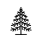 cedar-operations