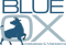 blue-ox-websites-marketing