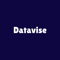 datavise-consulting