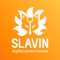 slavin-digital