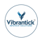 vibrantick-infotech-solutions-0