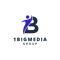 1-big-media-group