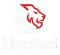 lionred-servicios-y-representaciones-sas