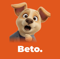 betograpy