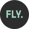 fly-video