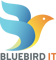 bluebird-it
