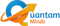 quantamminds