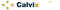 calvix-technology-solutions