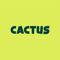 cactus-marketing-agency