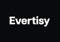 evertisy-gmbh