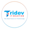 tridev-it-solution