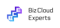 bizcloud-experts