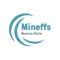 mineffs-it-services