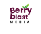 berry-blast-media-digital-marketing-agency-mumbai-ppc-social-media-marketing-seo