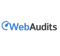 web-audits