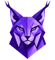 axenor-consulting