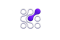 rhynode