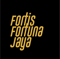 pt-fortis-fortuna-jaya